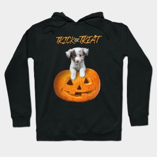 Halloween Dog Hoodie